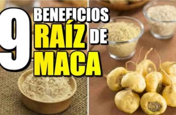 Maca Peruana Benefícios